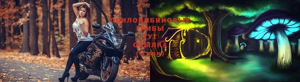 каннабис Алзамай