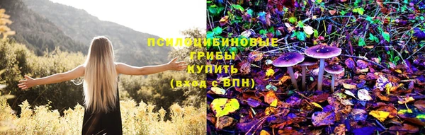амфетамин Алексин