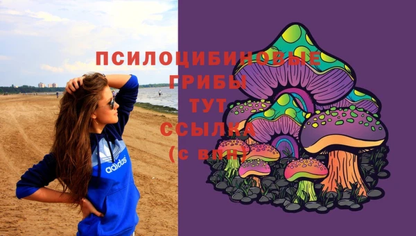 каннабис Алзамай