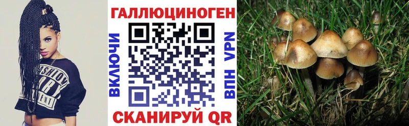 Псилоцибиновые грибы Magic Shrooms  Астрахань 